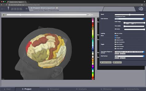 The Virtual Brain: Software Downloads.
